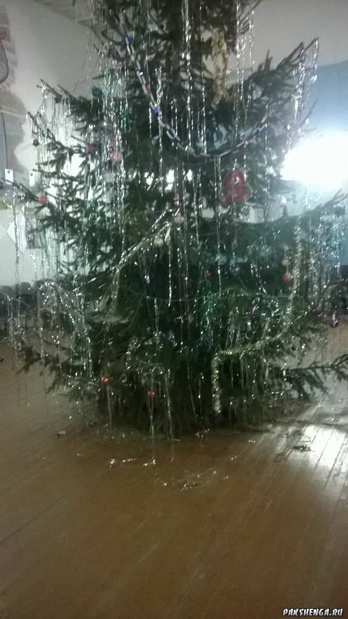 Встреча Нового 2018 года